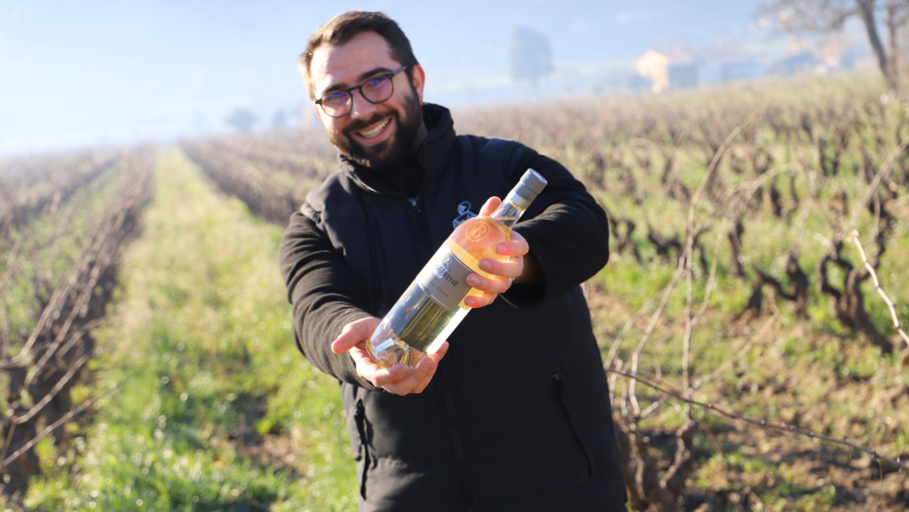 Dégustation de vins au Domaine la Suffrène
